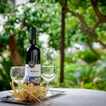 Daire Garden Cavtat