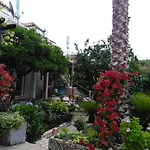 Garden *