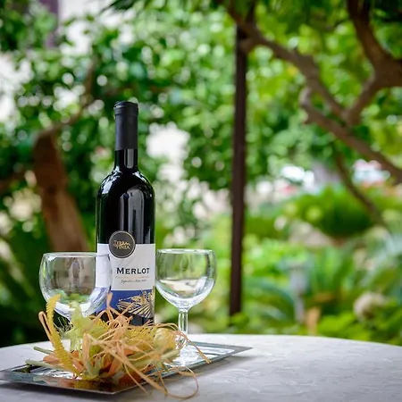 Apartment Garden Cavtat