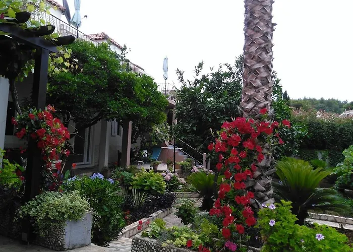 Garden *